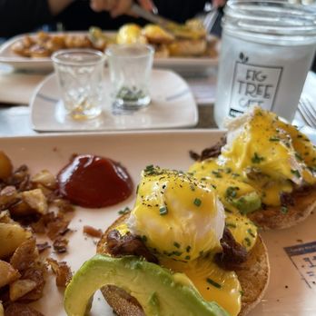Fig Tree Cafe - Good looking food, not much meat in my pork belly Benedict that it looked sad. Friend got the original Traditional Bennie. - Breakfast & Brunch Near Me - San Diego, California Fig Tree Cafe - Good looking food, not much meat in my pork belly Benedict that it looked sad. Friend got the original Traditional Bennie. - Breakfast & Brunch Near Me - San Diego, California
