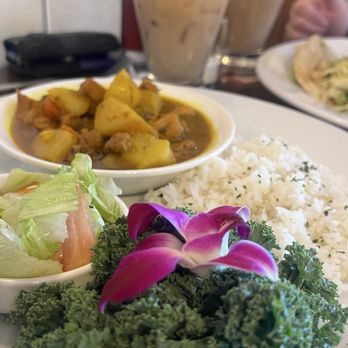 The Public Grill Beer And Wine Bar - Beautiful arrangement on a Jamaican curry chicken and rice - Italian Near Me - Mesa, Arizona