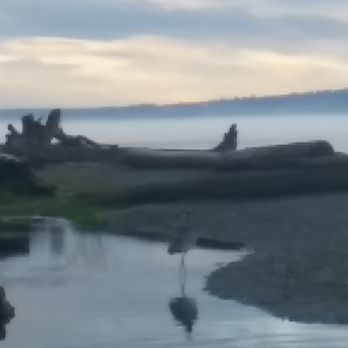 Ed Munro Seahurst Park - Parks Near Me - Burien, Washington
