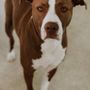 Photo of Atlas Pet Clinic