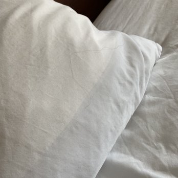 Baymont by Wyndham Bartonsville Poconos - Hair - Hotels Near Me - Bartonsville, Pennsylvania