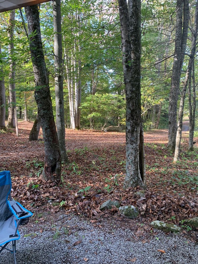 HIGH COUNTRY HORSE CAMPGROUND Updated October 2024 6866 Whitetop Rd