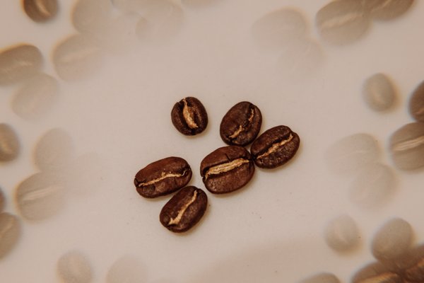 Dream Cloud Coffee Roasters by null