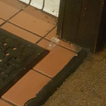 Shogun - Grimmie - Sushi Bars Near Me - San Marcos, California