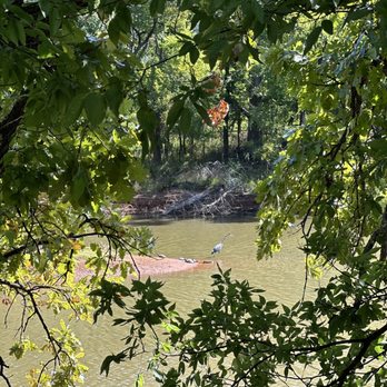 MARTIN PARK NATURE CENTER - Updated February 2026 - 198 Photos & 59