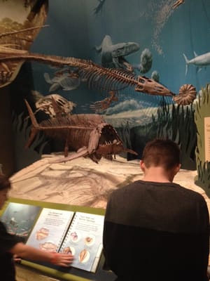 Sam Noble Oklahoma Museum of Natural History by null