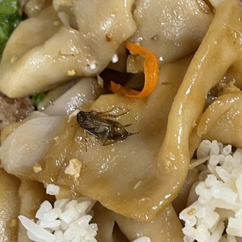 Chontong Thai Cuisine - Pad Kee Mao with extra protein - Thai Near Me - Seatac, Washington Chontong Thai Cuisine - Pad Kee Mao with extra protein - Thai Near Me - Seatac, Washington