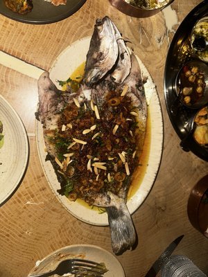 MeeshMeesh Mediterranean by null