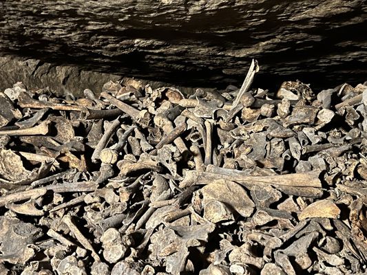 Catacombs of Paris by null Catacombs of Paris by null