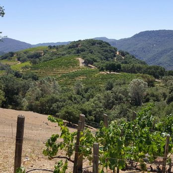 Kuleto Estate - Wine Tasting Room Near Me - Saint Helena, California Kuleto Estate - Wine Tasting Room Near Me - Saint Helena, California