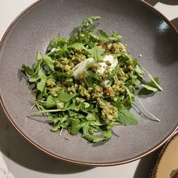 Burrata