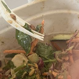 Bugs in food