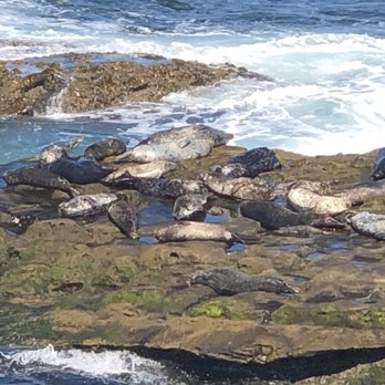 La Jolla Cove - Parks Near Me - La Jolla, California La Jolla Cove - Parks Near Me - La Jolla, California