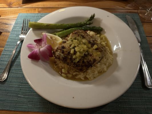 Butterfly Café by null