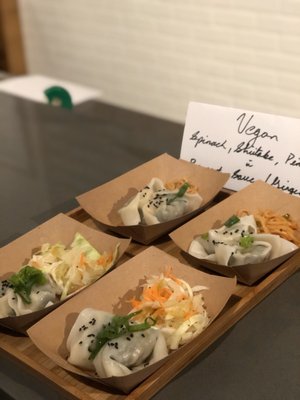 The Daily Dumpling Wonton Co by null