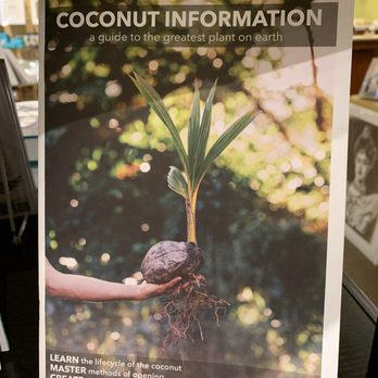 Na Mea Hawai'i - The coconut plant is so versatile that it's not only used as a food source - Bookstores Near Me - Honolulu, Hawaii Na Mea Hawai'i - The coconut plant is so versatile that it's not only used as a food source - Bookstores Near Me - Honolulu, Hawaii