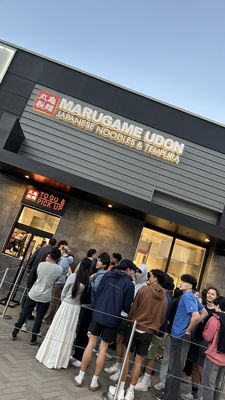 MARUGAME UDON by null