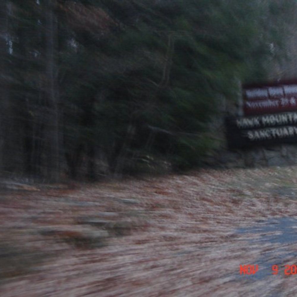 hawk Mountain hawk Mountain