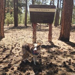 Jacob Lake Campground