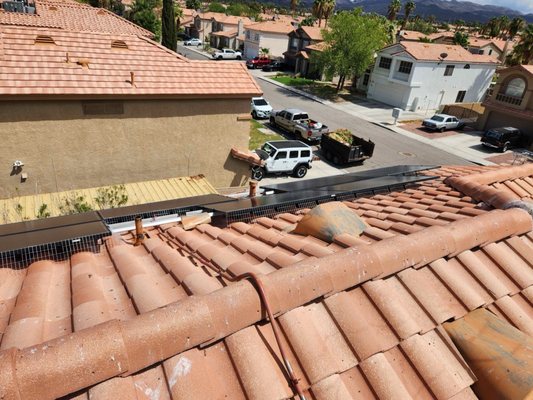 Fortified Pest Management