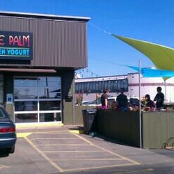 Blue Palm Frozen Yogurt