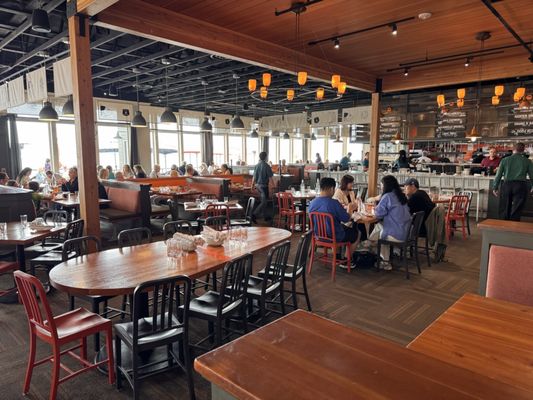 WildFin American Grill by null