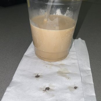 Paramour Coffee - a cup of coffee on a napkin - Coffee & Tea Near Me - Manhattan, Kansas