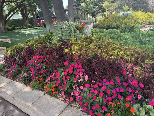 Amarillo Botanical Gardens by null