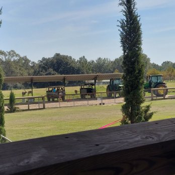 Global Wildlife Center - Zoos Near Me - Folsom, Louisiana