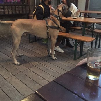 d.b.a. - Majestic - Beer Bar Near Me - New York, New York