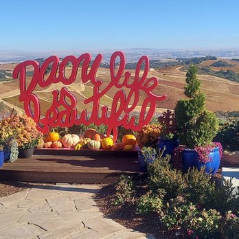 DAOU Vineyards - Wineries Near Me - Paso Robles, California DAOU Vineyards - Wineries Near Me - Paso Robles, California