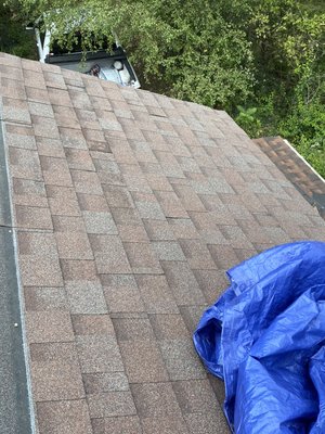 Royal Construction Logo