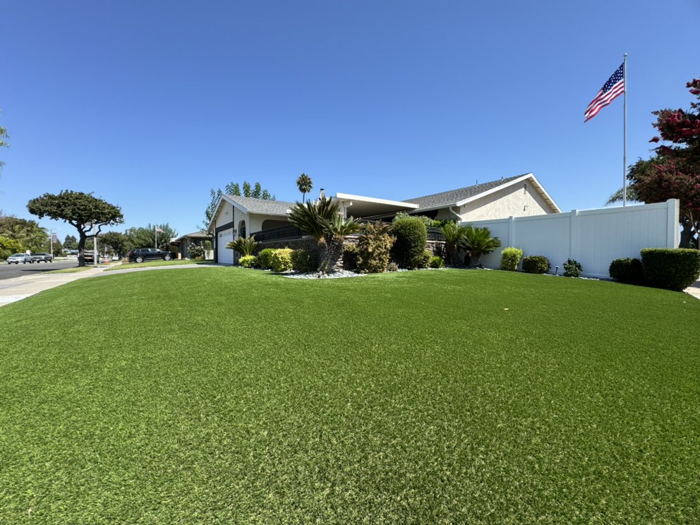 TURFORA Updated November 2024 199 Photos & 96 Reviews Orange