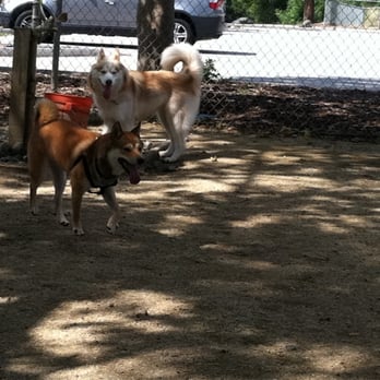 Hellyer Park Dog Enclosure - Ketsu and Nahla - Dog Parks Near Me - San Jose, California Hellyer Park Dog Enclosure - Ketsu and Nahla - Dog Parks Near Me - San Jose, California