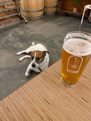 Bizarre Brewing by null