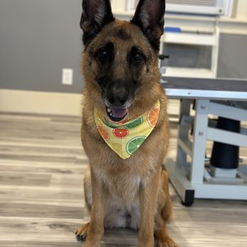 Leash & Lather - Pet Groomers Near Me - Redmond, Oregon