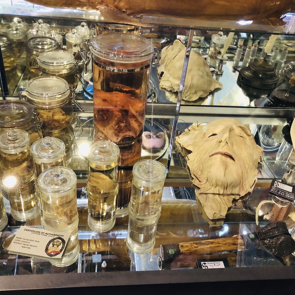 Dysfunctional Grace - Art Galleries Near Me - Tampa, Florida