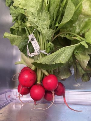 Willowsford Farm by null