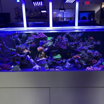 Ocean View Aquariums - Aquarium Services Near Me - Miami, Florida
