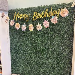 Meows Corner