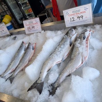 Wild Salmon Seafood Market - Salmon! - Seafood Markets Near Me - Seattle, Washington Wild Salmon Seafood Market - Salmon! - Seafood Markets Near Me - Seattle, Washington