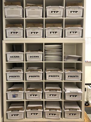 The Color House New York by null