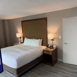 Hyatt Regency Miami - King bed in suite.