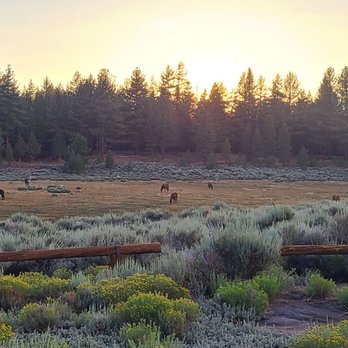 Holcomb Valley Ranch - The horses in the distance while the sun went down, was one of the prettiest things I've ever seen - Campgrounds Near Me - Fawnskin, California Holcomb Valley Ranch - The horses in the distance while the sun went down, was one of the prettiest things I've ever seen - Campgrounds Near Me - Fawnskin, California