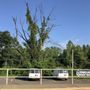 Photo of LIRR Douglaston Station