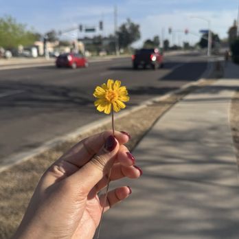 Dancers Domain - On my walk to Dancers Domain :) - Dance Studios Near Me - Scottsdale, Arizona