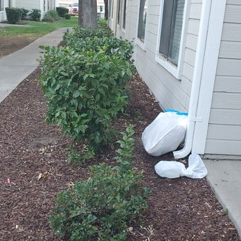Diamond Hillside - Garbage bad residents can't be bothered to take to the dumpster - Apartments Near Me - Pittsburg, California
