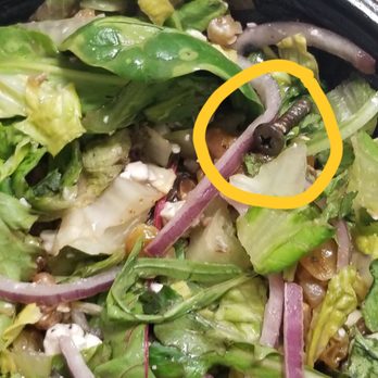 Zito's Pizza - Screw in our salad. - Pizza Near Me - Orange, California Zito's Pizza - Screw in our salad. - Pizza Near Me - Orange, California