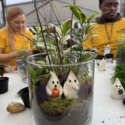 English Gardens - Seasonal activities! Spooky terrarium!