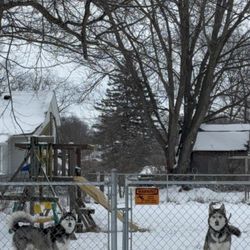 South Anderson Veterinary Clinic